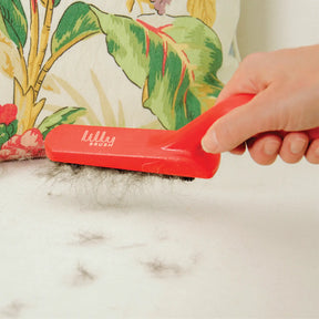 Lilly Brush - Fluffy Pets Brush