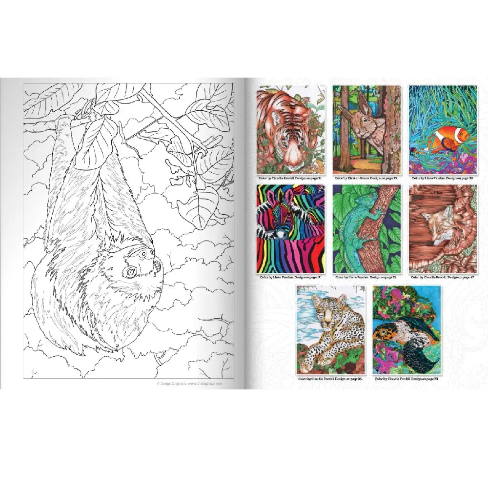 Wellspring- Coloring Book - Hidden Animals
