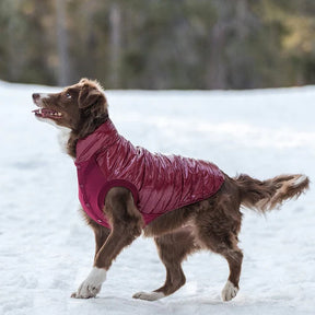 Blueberry Pet - Burgundy | Dog Puffer Jacket
