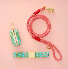 Foggy Dog - Dog Collar Berry Patch