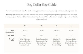 The Foggy Dog - Dog Collar Velvet Valentine's Day Plum