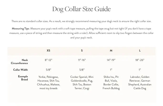 The Foggy Dog - Dog Collar Velvet Valentine's Day Plum