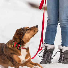 Blueberry Pet - Reindeer | Christmas Dog Collar with Blingy Décor