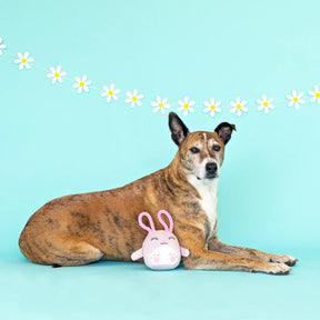 Petshop by Fringe Studio - Ear-Resistible Dog Toy Plush - Southern Agriculture 