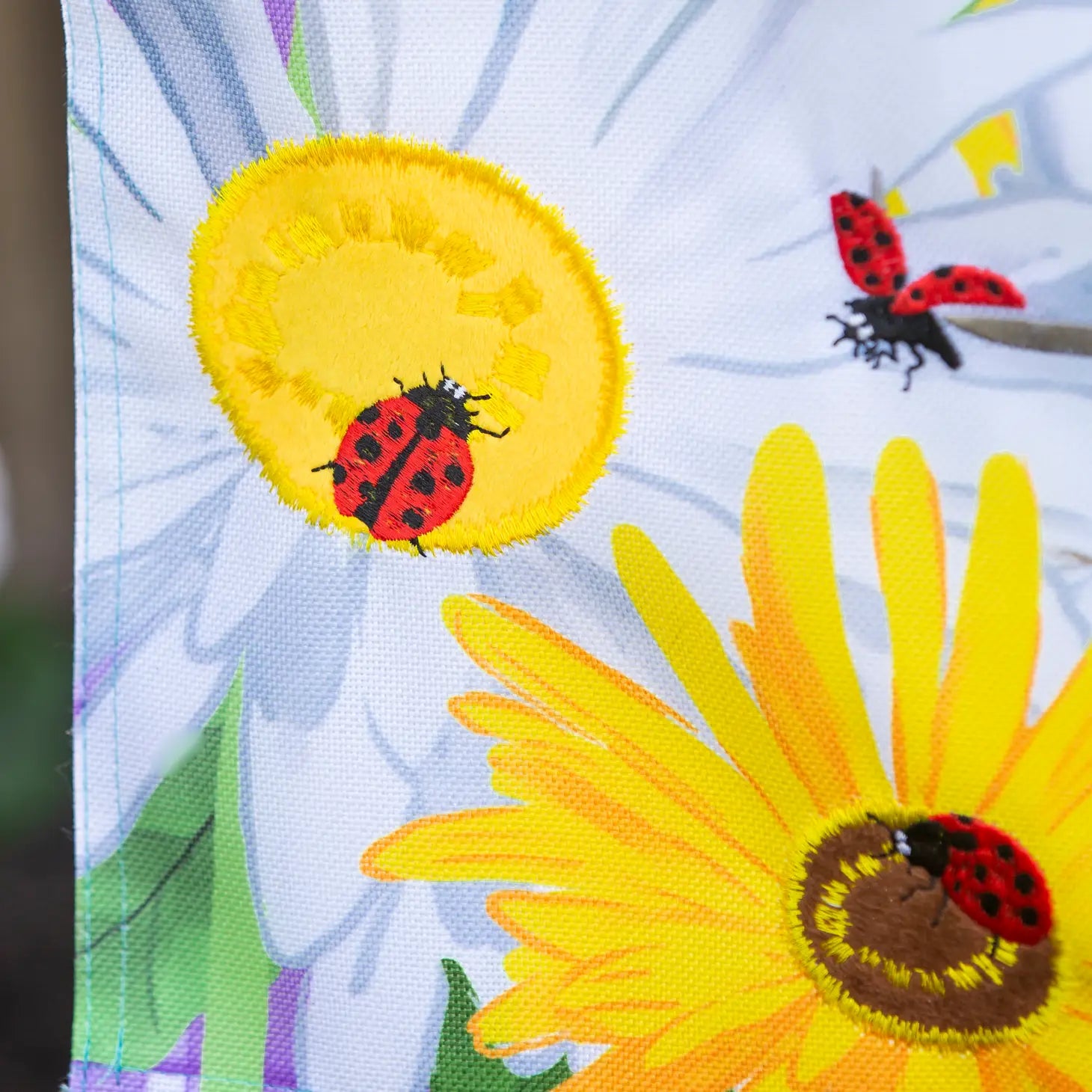 Flag Daisy & Ladybug Field - Southern Agriculture 