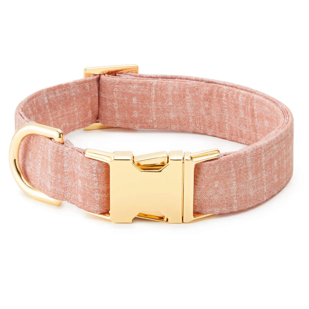 The Foggy Dog - Dog Collar Petra