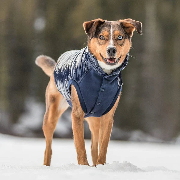 Blueberry Pet - Navy | Dog Puffer Jacket
