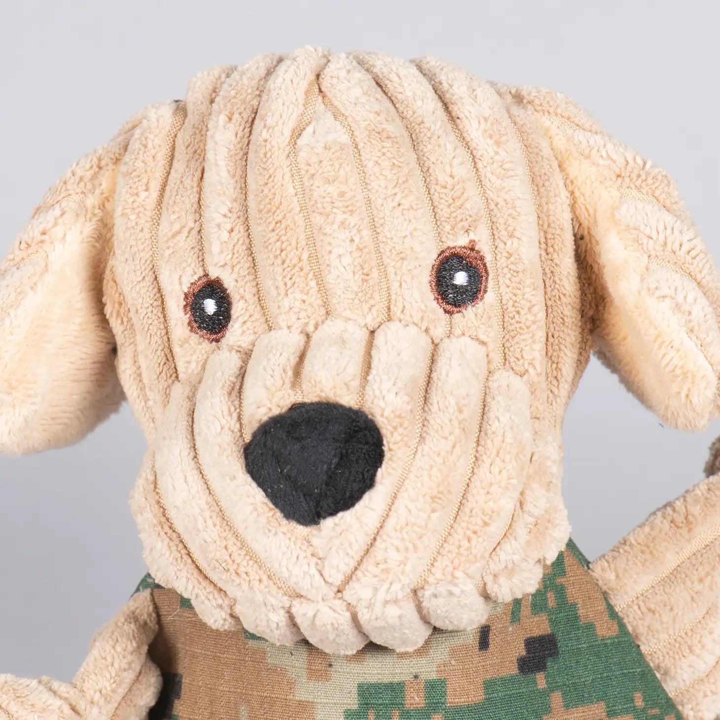 HuggleHounds - Warrior Canine Connection