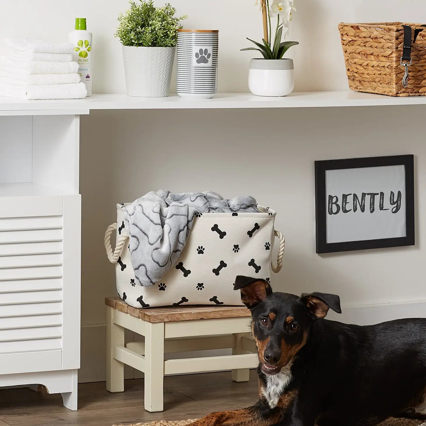 Bone Dry - Pet Bin Paw & Bone Polyester Rectangular