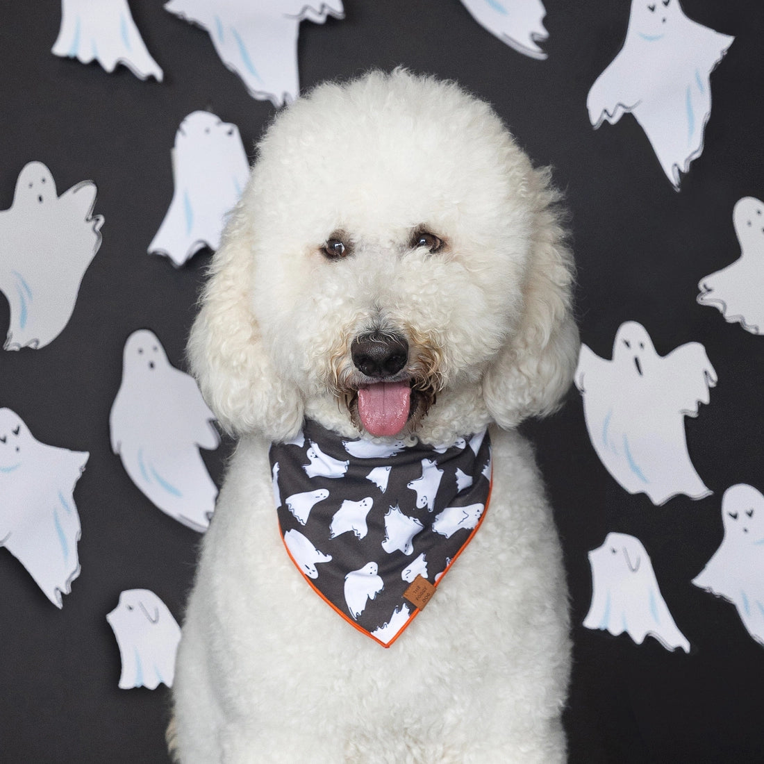 The Foggy Dog - Bandana Dog Be My Boo (Reversible)
