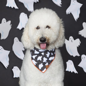 The Foggy Dog - Bandana Dog Be My Boo (Reversible)