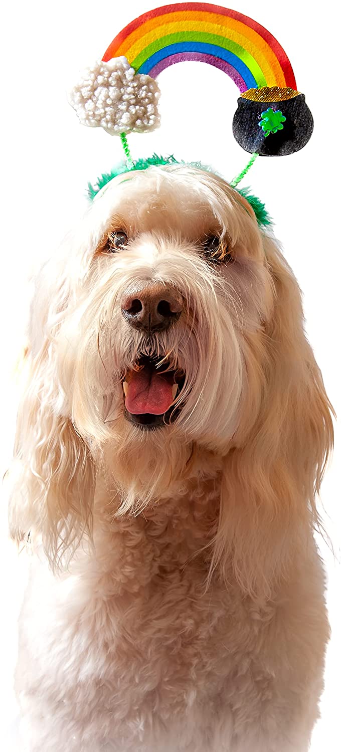 Midlee - St. Patrick's Rainbow Pot of Gold Dog Headband - Southern Agriculture 