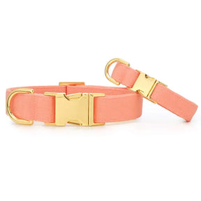 The Foggy Dog - Dog Collar Mango Spring