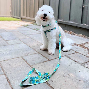 Blueberry Pet - Bahamas Vacation Dog Harness