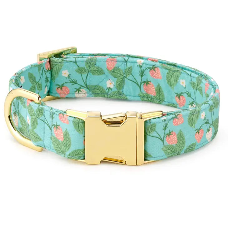 Foggy Dog - Dog Collar Berry Patch