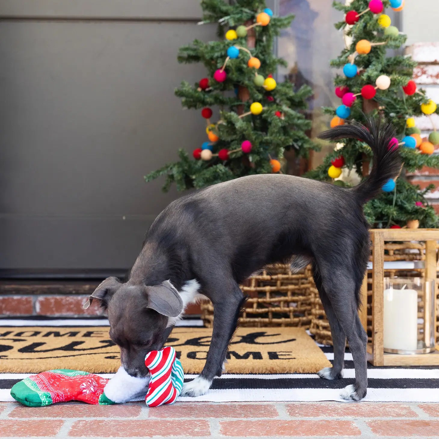 Petshop by Fringe Studio - Dog Toy Hide & Seek Toy Merry Woofmas Stocking & 2 Bones