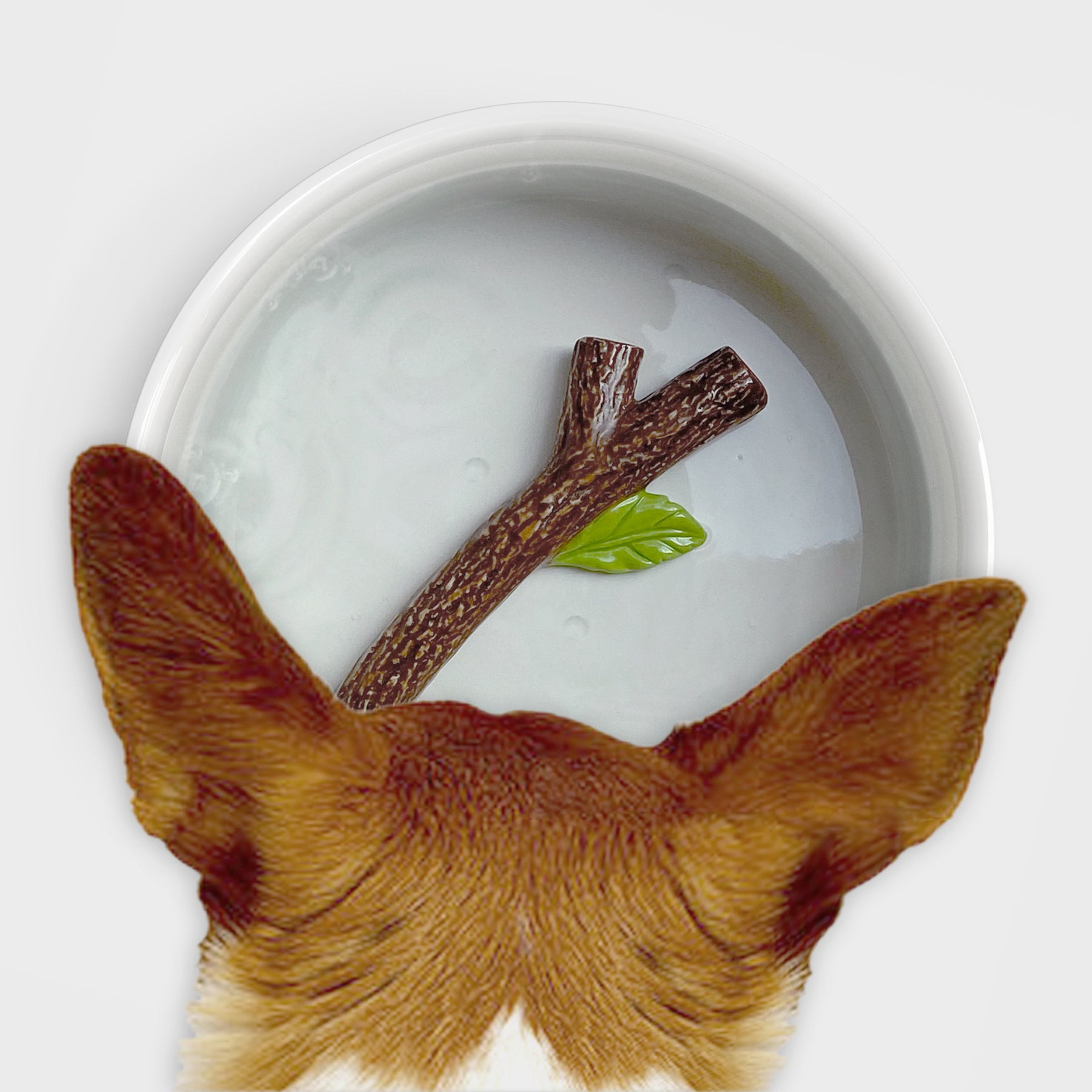 Dog Water Bowl Fetch Stick - Southern Agriculture 