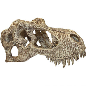 Komodo - T-Rex Skull Reptile Hideout - Southern Agriculture 