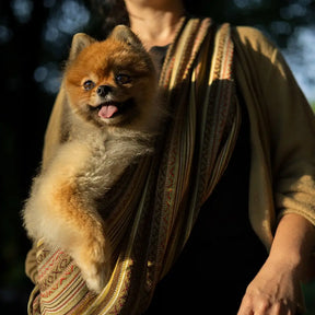Walking Pet- Pet Sling Moab