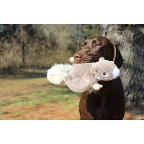 Tall Tails - Fling & Fetch Dog Toys