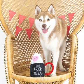 Petshop by Fringe Studio - Dog Toy You Perk Me Up - Southern Agriculture 