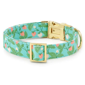Foggy Dog - Dog Collar Berry Patch