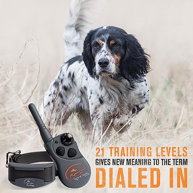 Radio Systems Corp - Field Trainer X-Series Remote 500 yd