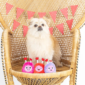 Petshop by Fringe Studio - Love Connection Dog Toy - Southern Agriculture 