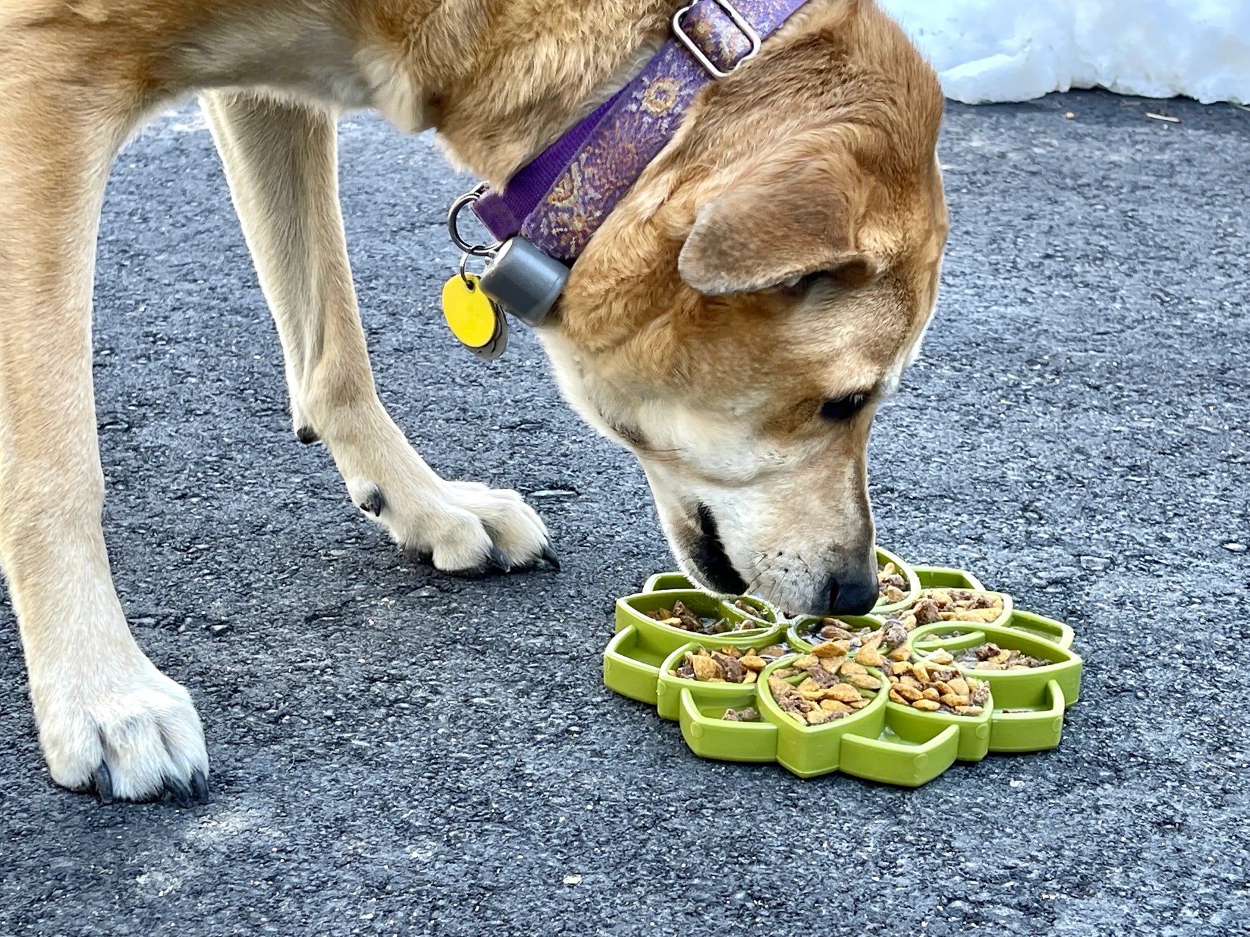 Enrichment Dog Tray Lick Mat - Mandala Design - Southern Agriculture 