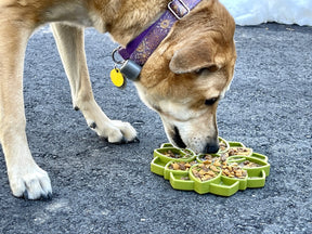 Enrichment Dog Tray Lick Mat - Mandala Design - Southern Agriculture 
