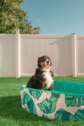 Dog Pool That's Banana(leave)s - Southern Agriculture 
