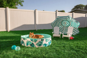 Dog Pool That's Banana(leave)s - Southern Agriculture 