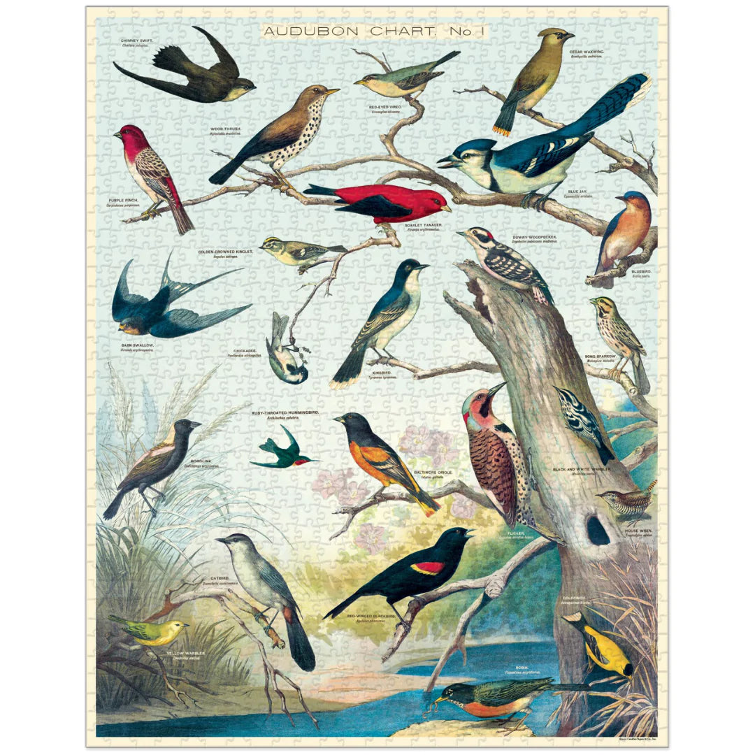 Cavallini & Co. - Puzzle Birds - Southern Agriculture 