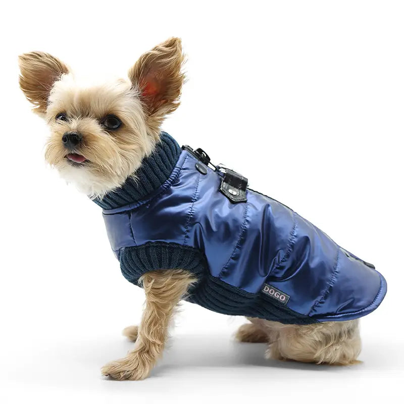 Dogo Pet - Coat Runner Metallic Blue - Southern Agriculture 