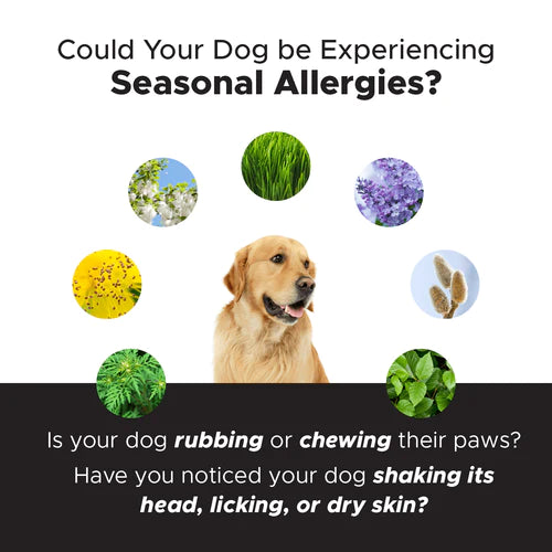 Pet Honesty - Allergy Support Peanut Butter Tasty Chews For Dogs