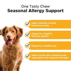 Pet Honesty - Allergy Support Peanut Butter Tasty Chews For Dogs
