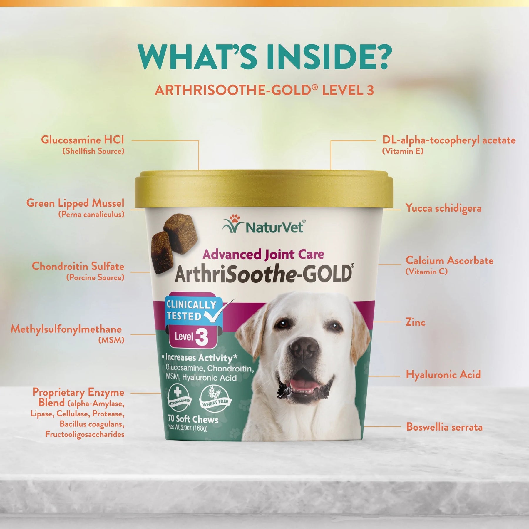 NaturVet - Arthrisoothe-Gold Level 3 Advanced Care by NaturVet - Southern Agriculture 