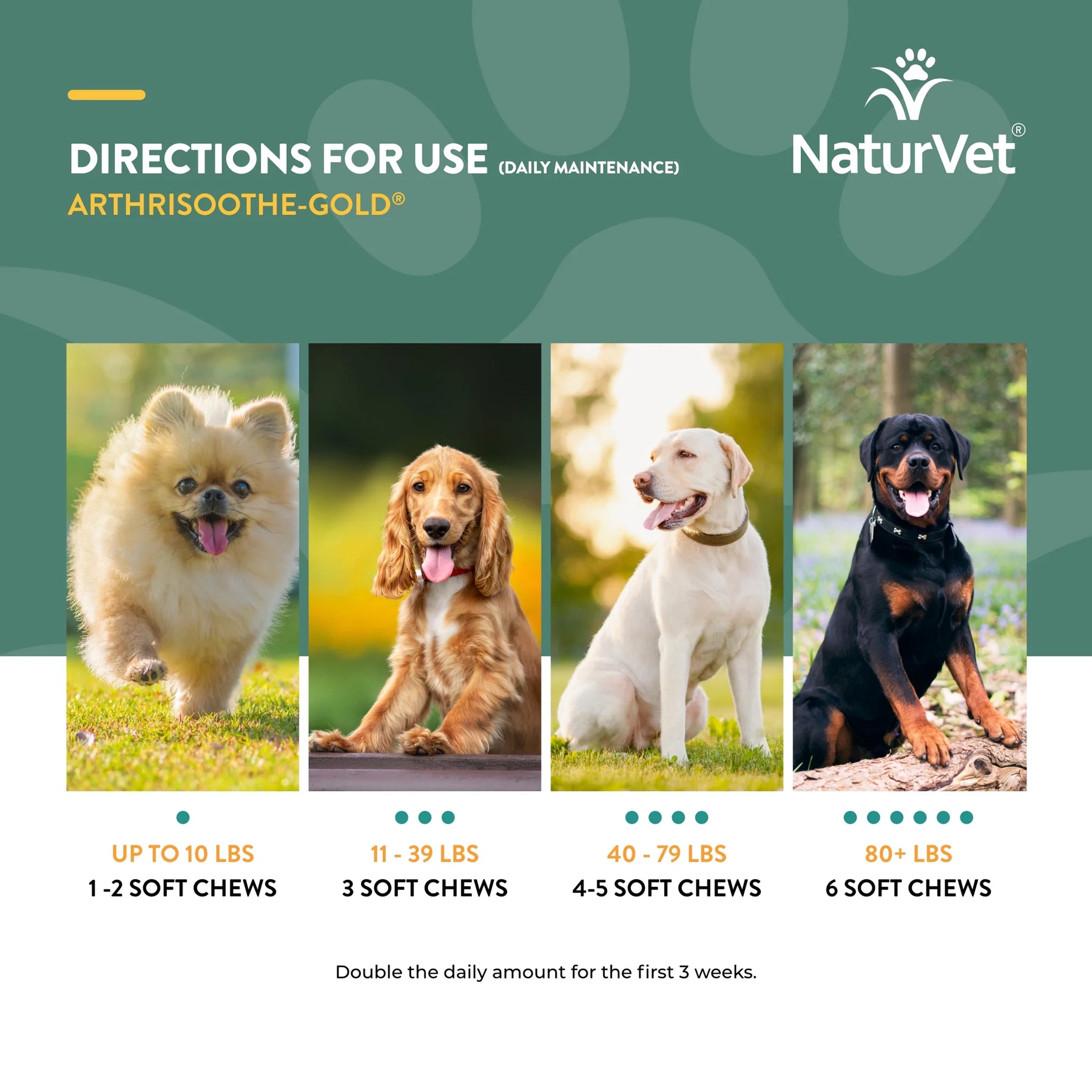 NaturVet - Arthrisoothe-Gold Level 3 Advanced Care by NaturVet - Southern Agriculture 