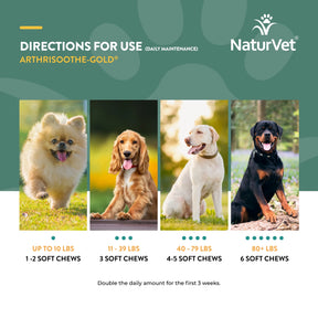 NaturVet - Arthrisoothe-Gold Level 3 Advanced Care by NaturVet - Southern Agriculture 
