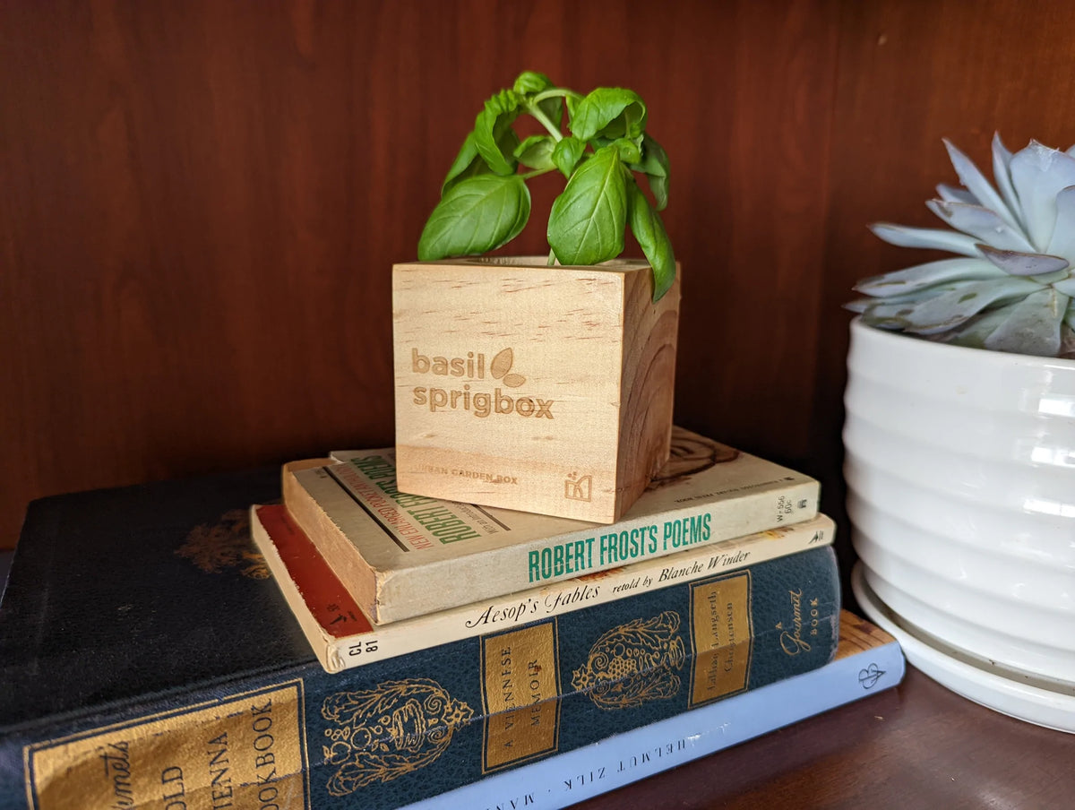 Sprigbox - Basil Grow Kit - Southern Agriculture 