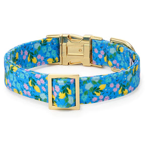 The Foggy Dog - Dog Collar Bees In Bloom