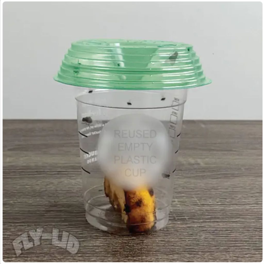 Billy Bob Products - Fly-Lid Fly Trap