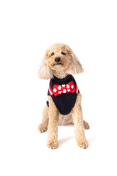 Chilly Dog - Dog Sweater Bow Tie Red, White & Blue - Southern Agriculture 