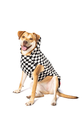 Chilly Dog - Dog Sweater Checkerboard Hoodie Wool