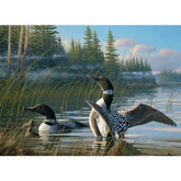 Puzzle: Common Loons-Southern Agriculture