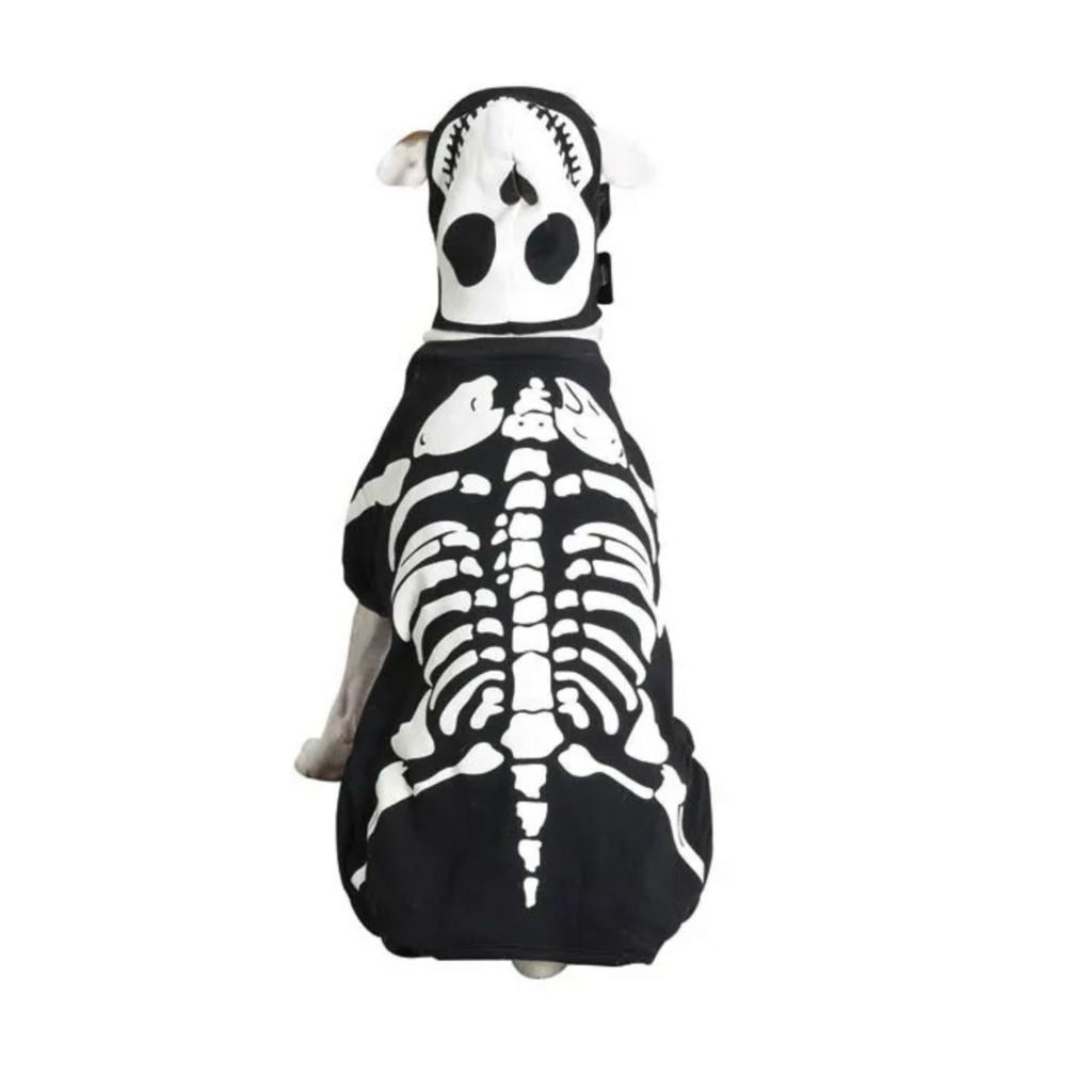 Pet Edge - Costume Glow Bones