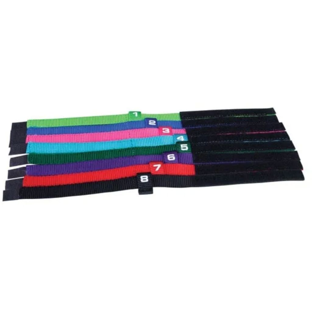 Pet Edge - Pet Edge - Puppy ID Collars