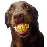 Moody Pet - Humunga Bling Ball for Dogs - Southern Agriculture 