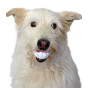 Moody Pet - Humunga Chomp - Southern Agriculture 