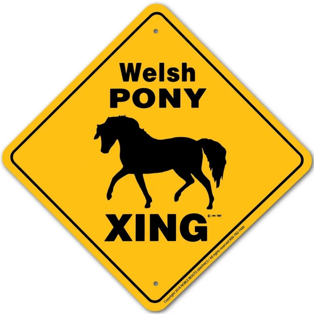 Noble Beasts - Welsh Pony X-ing Sign